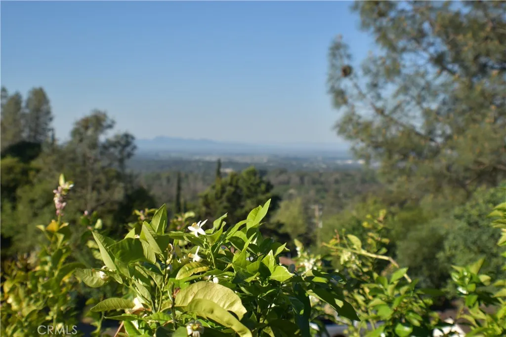 Additional image 117 of 18 Oak Hill Dr, Oroville, CA 95966