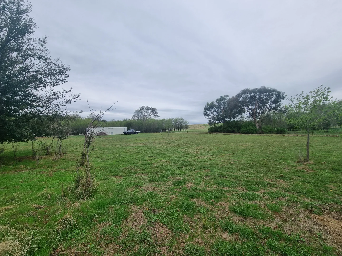 Additional image 6 of Lot 1 & 2 Mount Street, Coolac NSW 2727