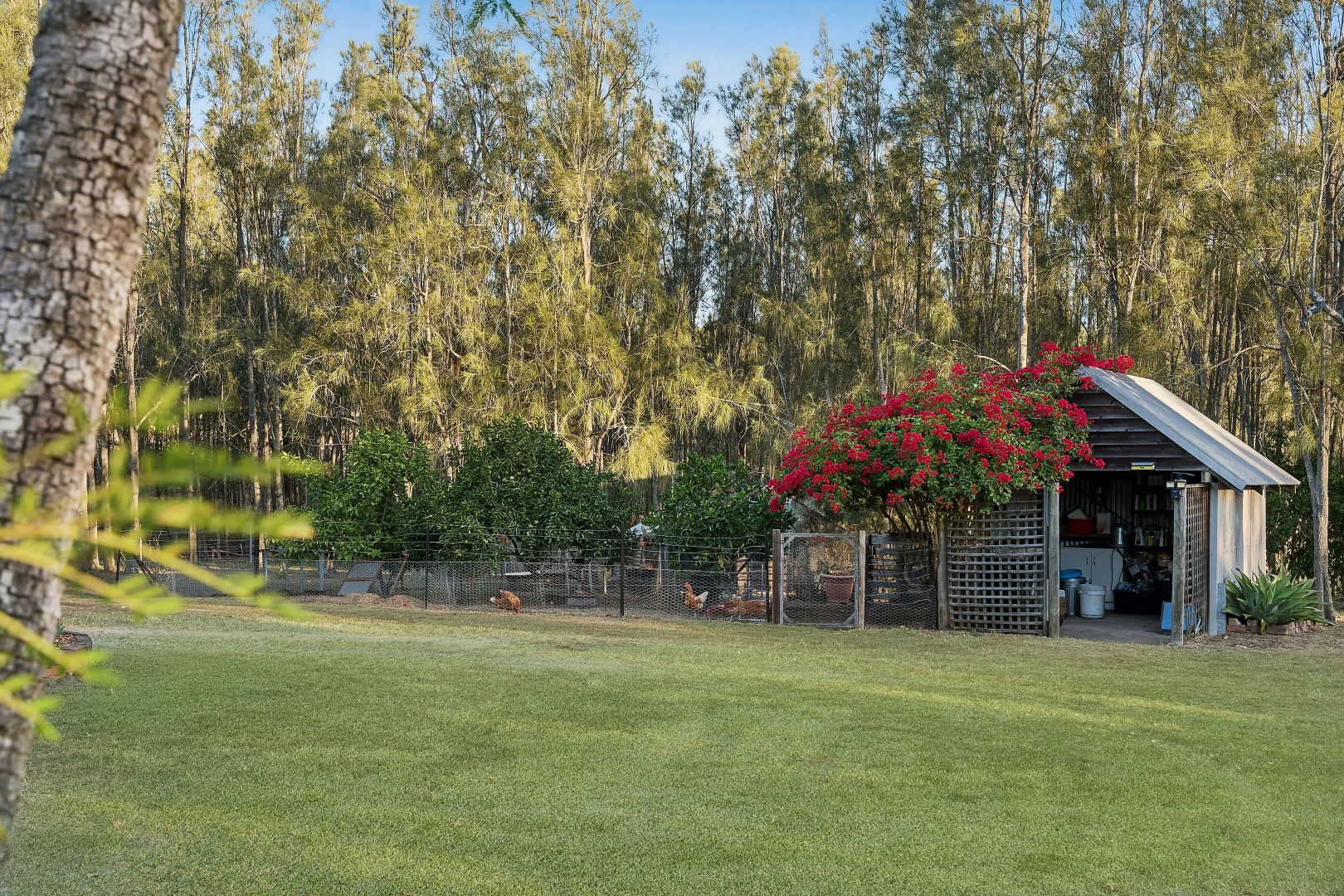 Additional image 9 of 701 Standen Drive, Lower Belford NSW 2335