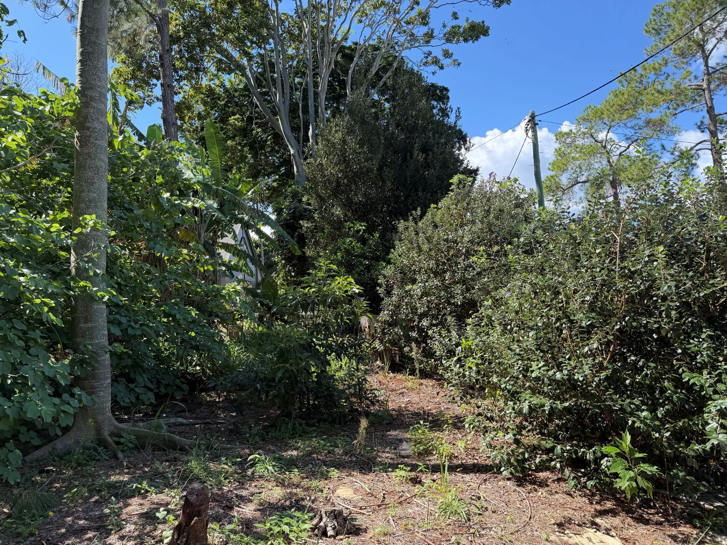 Additional image 9 of 7 Judith Street, Russell Island QLD 4184