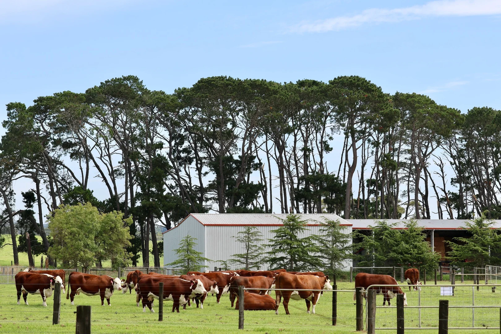 Additional image 15 of 103 Kellys Road, Longford VIC 3851