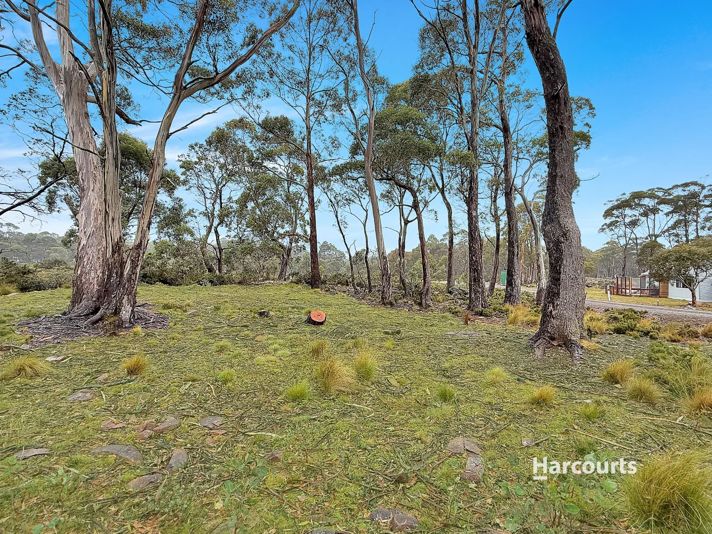 Additional image 10 of 3 Headlam Road North, Reynolds Neck TAS 7304