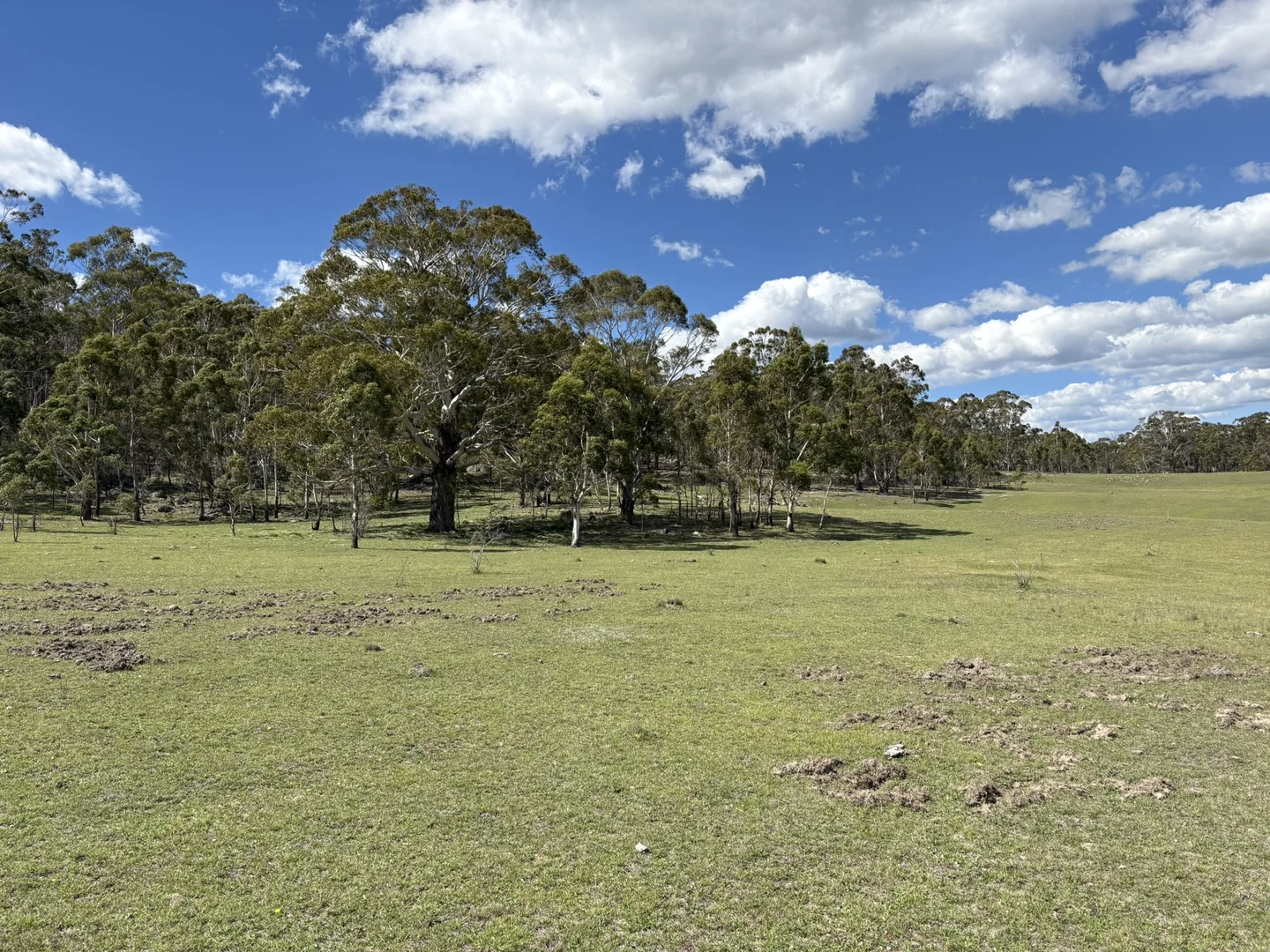 Additional image 12 of 29, 175 Tumbledown Road, Peak View NSW 2630
