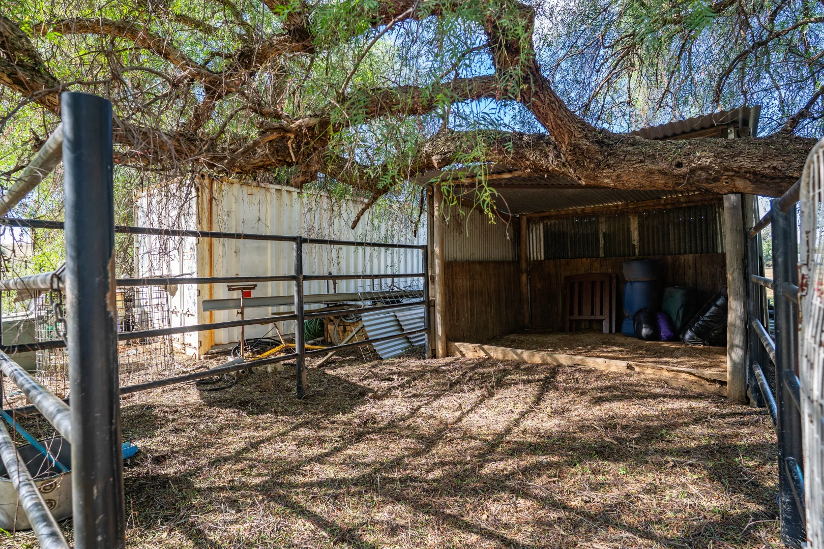 Additional image 13 of 51 Cable Street, Canowindra NSW 2804