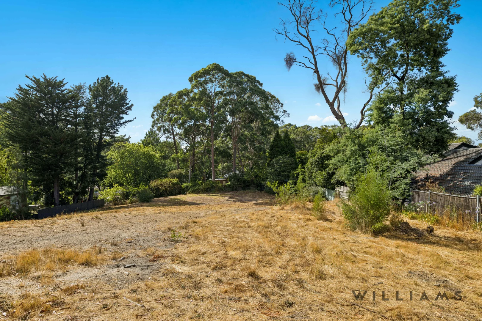 53 Mabel Street, Stirling SA 5152 photo 5