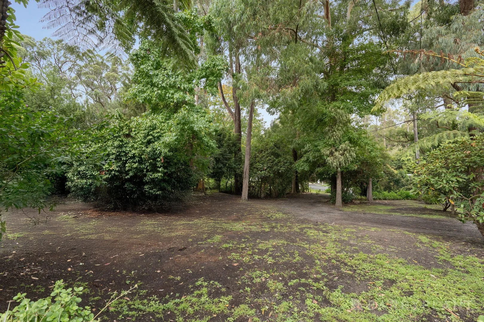 Additional image 19 of 126 Emerald-Monbulk Road, Emerald VIC 3782