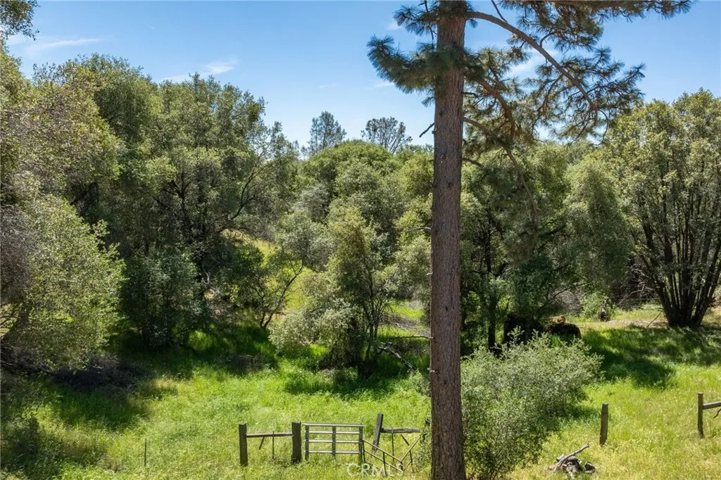 Additional image 122 of 4716 Leonard Rd, Mariposa, CA 95338