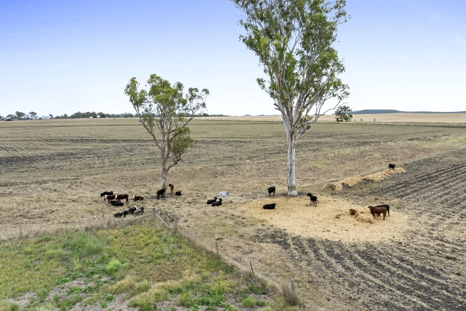 Additional image 20 of 24 Naumann Road, Back Plains QLD 4361