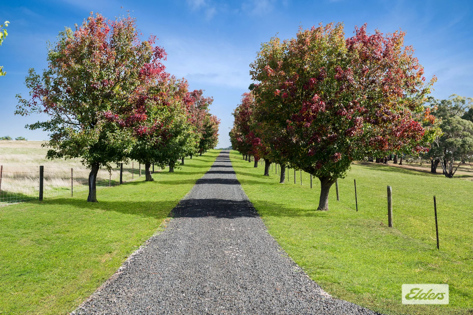 Additional image 7 of 245 Martins Road, Nulla Vale VIC 3435