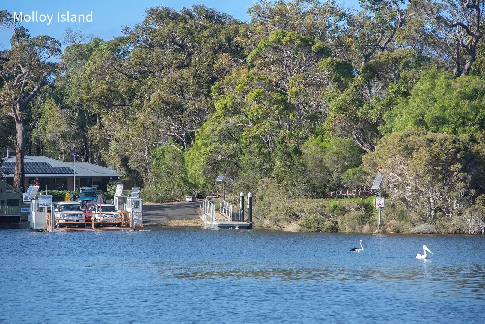 Additional image 10 of Lot 49 Blackwood Grove, Kudardup WA 6290