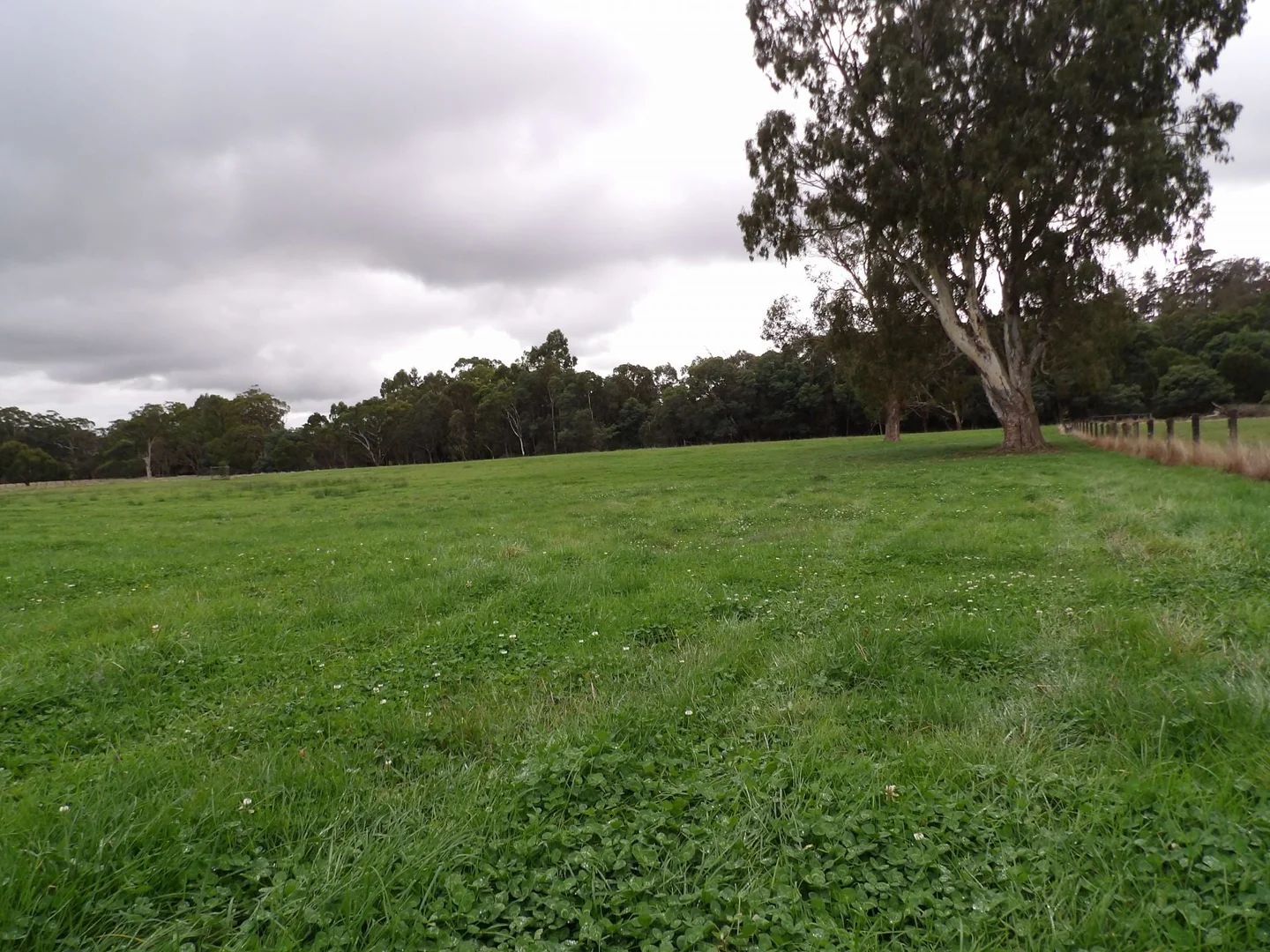 Additional image 6 of 53 Burns Road, Glenburn VIC 3717