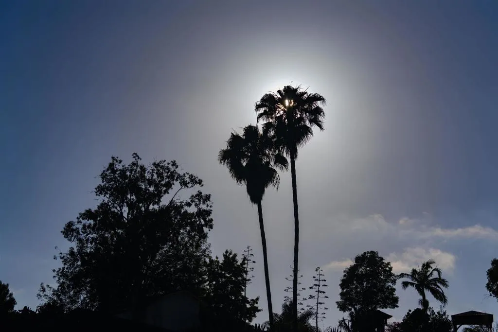 3876 Mount Albertine Avenue, San Diego, CA 92111