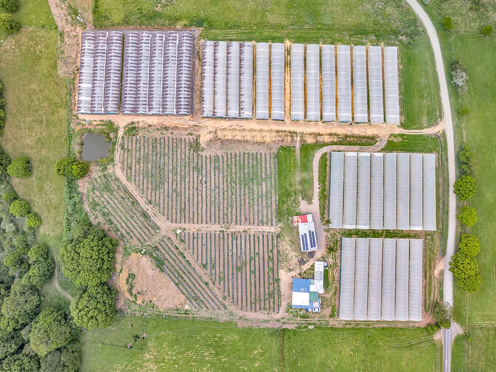 Additional image 2 of 289 Mardells Road, Bucca NSW 2450