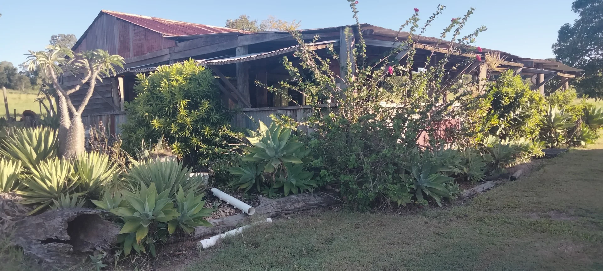 808 Pine Creek Road, Givelda QLD 4670
