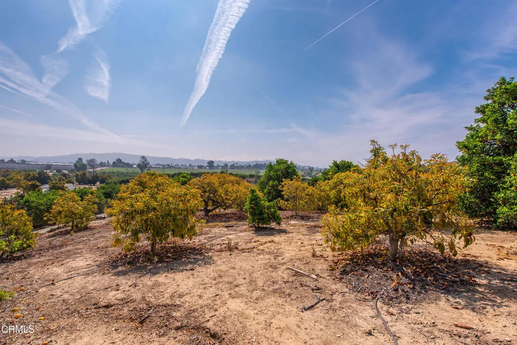 Additional image 106 of 5275 N Creston Lane, Somis, CA 93066