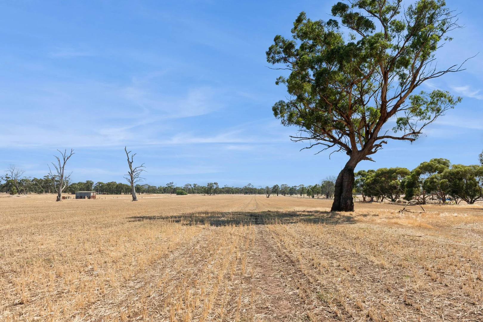 Additional image 9 of Lots 2-3 Whatleys Road, Goornong VIC 3557