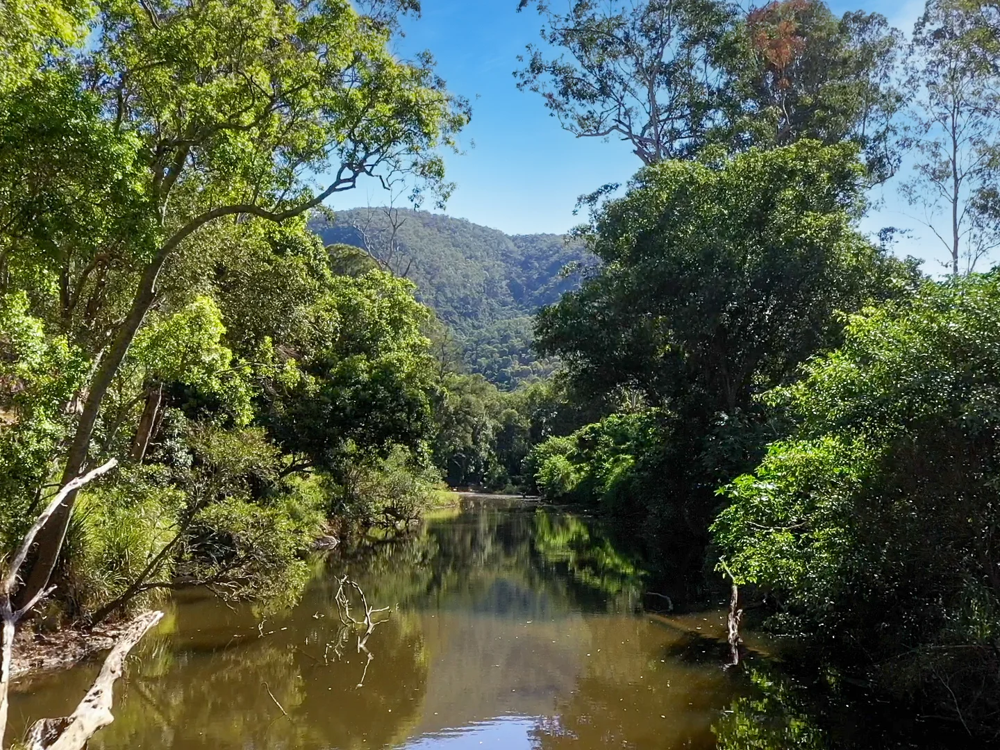 Additional image 21 of 246-274 Rasmussen Road, Neurum QLD 4514