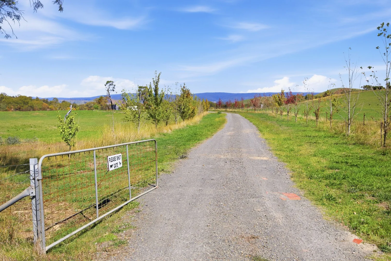 Additional image 17 of 5393 Maroondah Highway, Alexandra VIC 3714