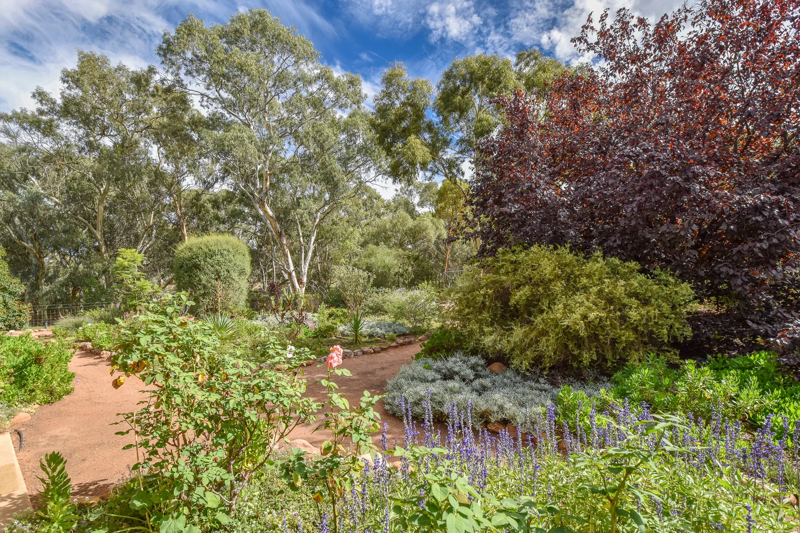 Additional image 30 of 350 Beetaloo Valley Road, Beetaloo Valley SA 5523