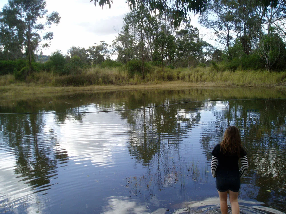 Kingaroy QLD 4610 photo 4