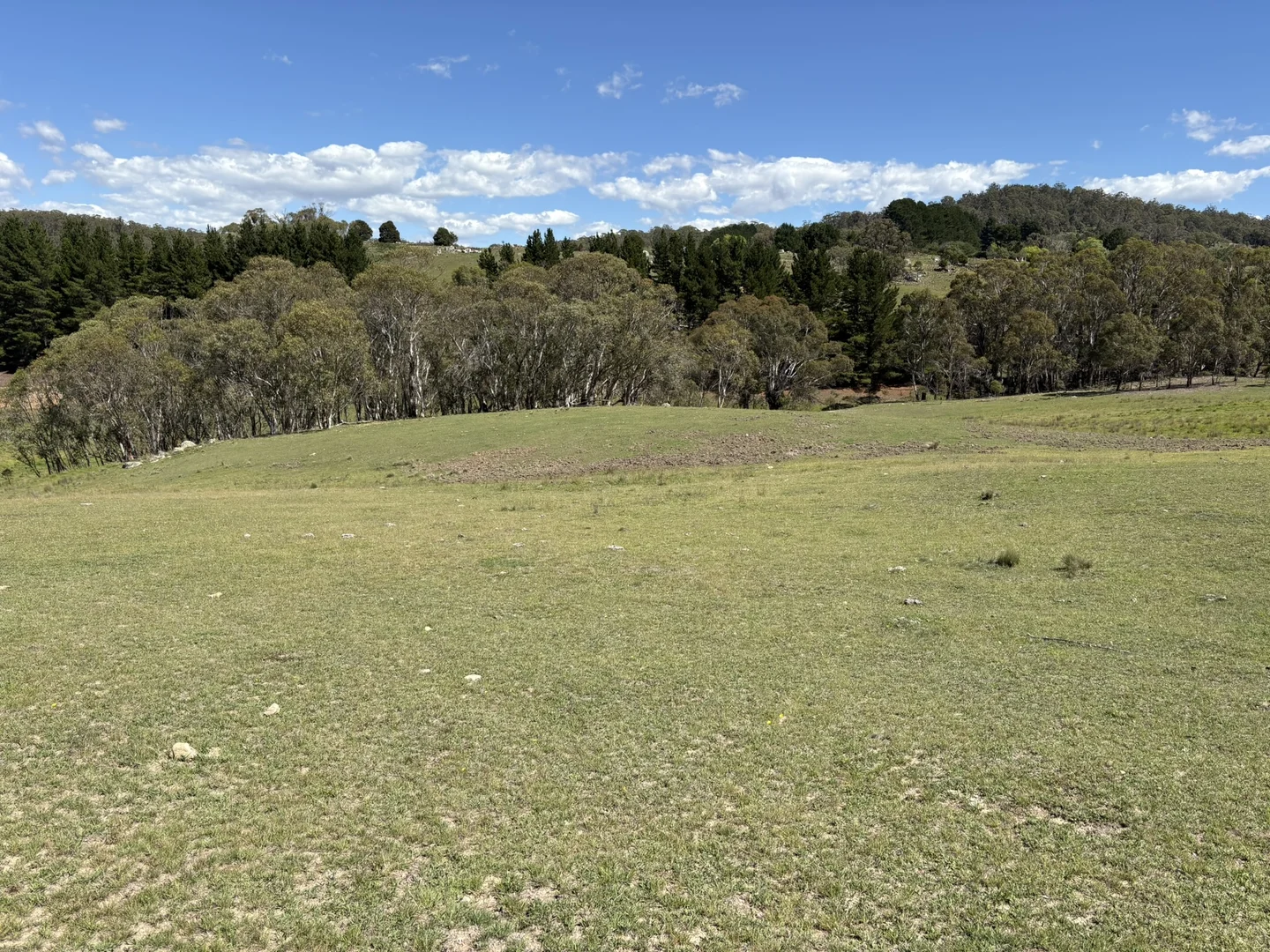 Additional image 7 of 29, 175 Tumbledown Road, Peak View NSW 2630