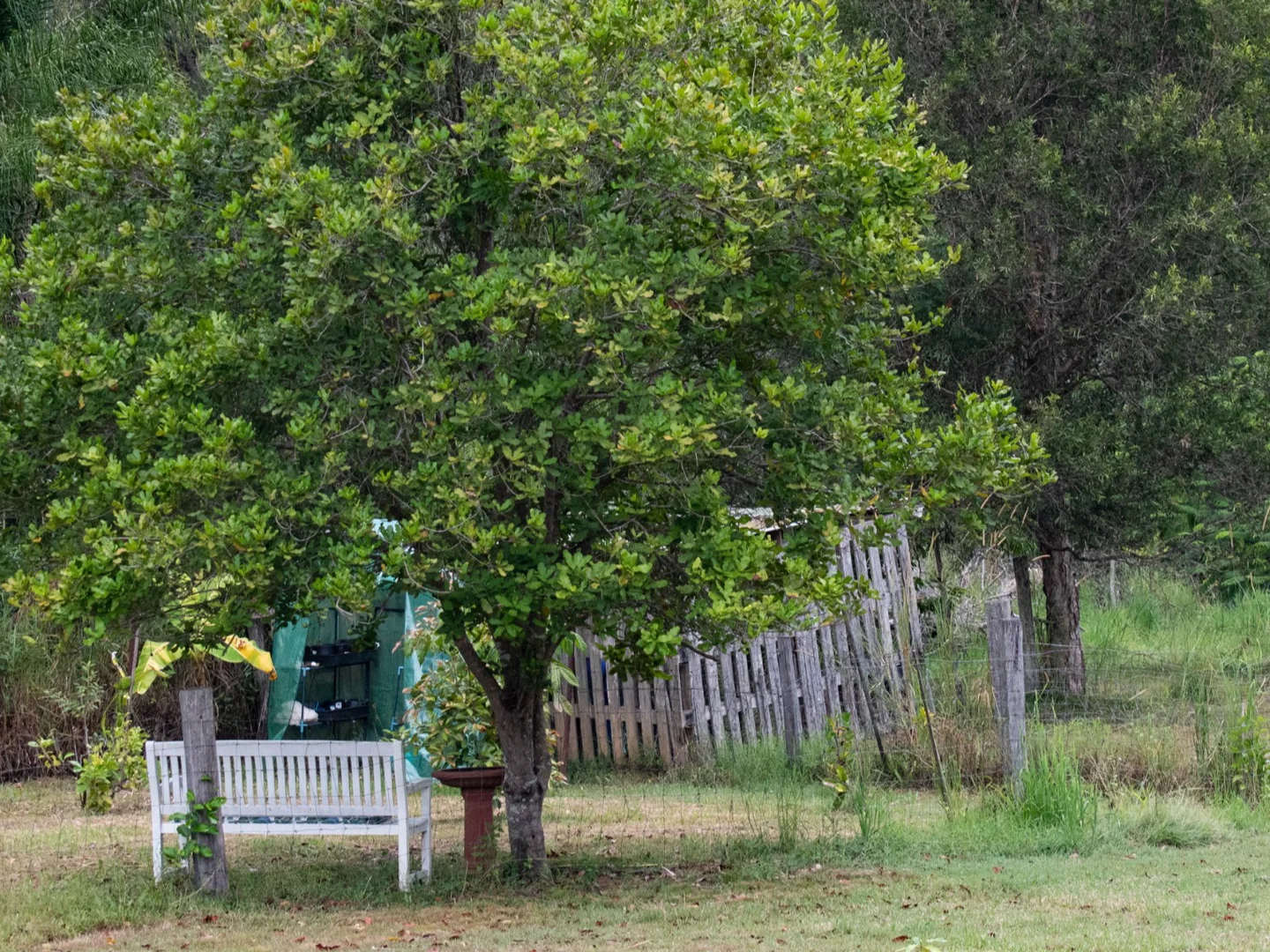 Additional image 31 of 27 O'keeffe Road, Mothar Mountain QLD 4570