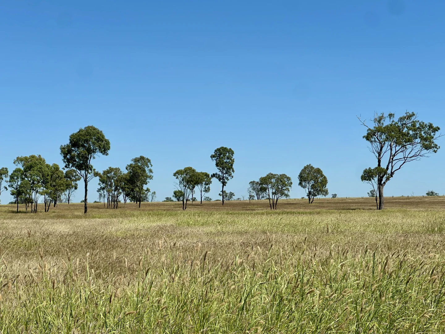 Additional image 11 of 338 Cheeseborough Rd, Clermont QLD 4721