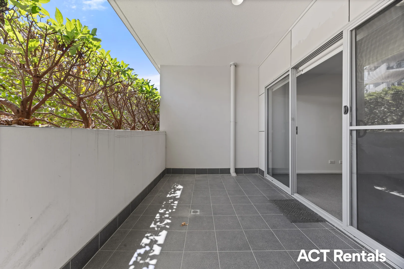 Additional image 13 of 15/40 Philip Hodgins Street, Wright ACT 2611