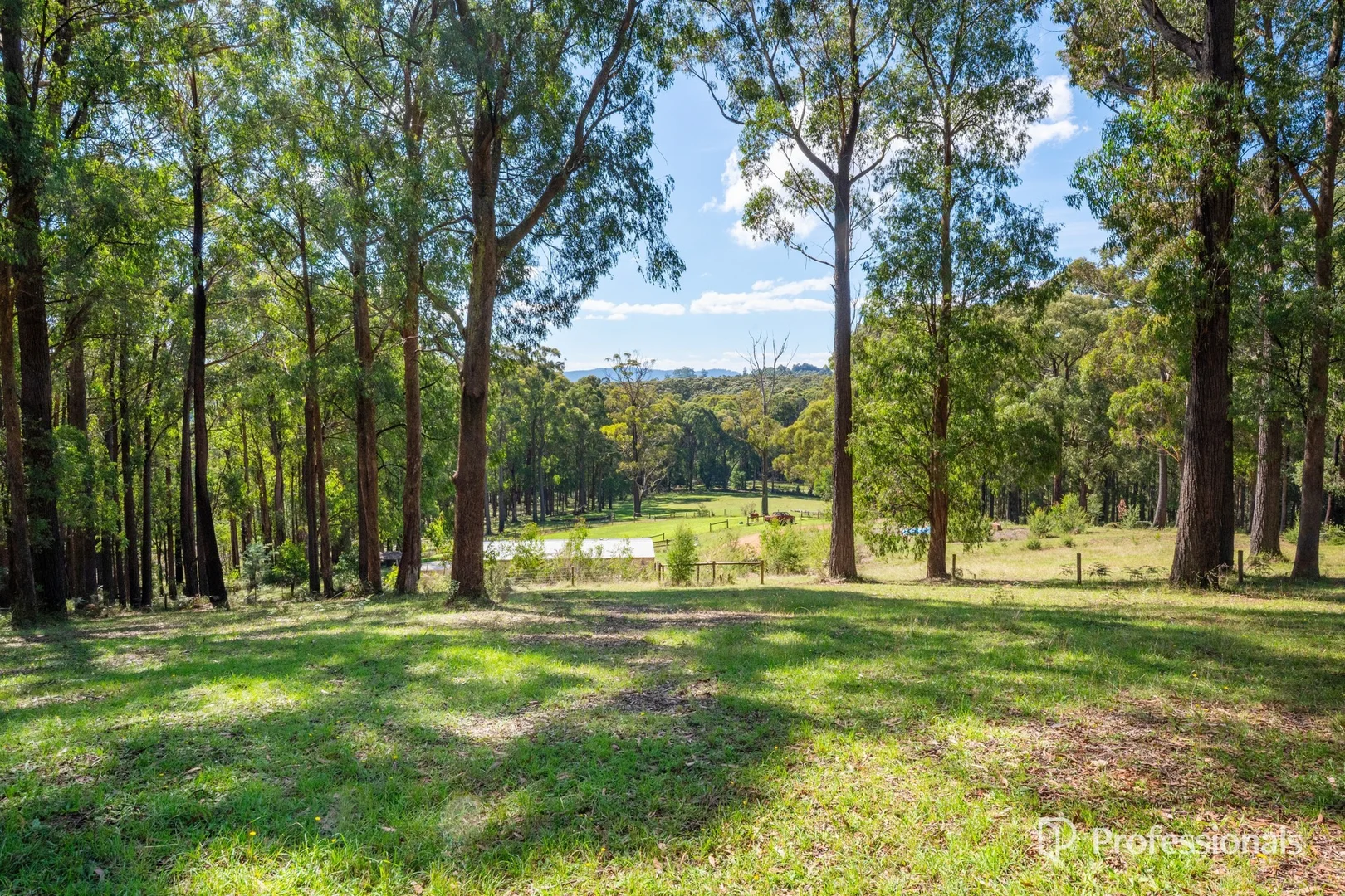 Additional image 20 of 620 Thonemans Road, Hoddles Creek VIC 3139