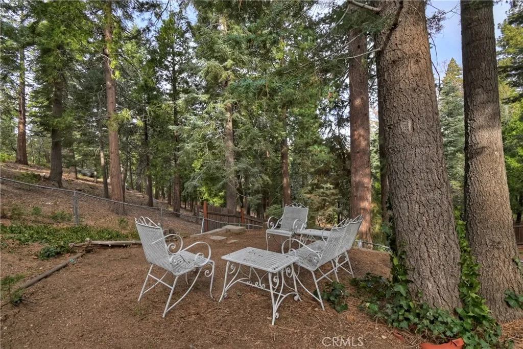 Additional image 98 of 696 Rose Lane, Twin Peaks, CA 92391