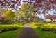 Additional image 35 of Trinity Crescent, Edinburgh EH5