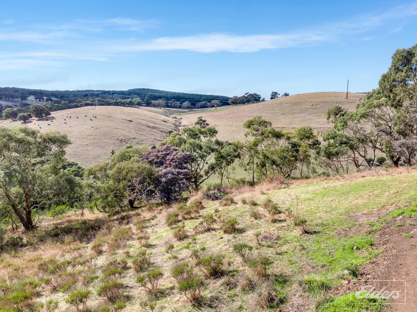 Additional image 59 of 23 Stockyard Hill Road, Delamere SA 5204
