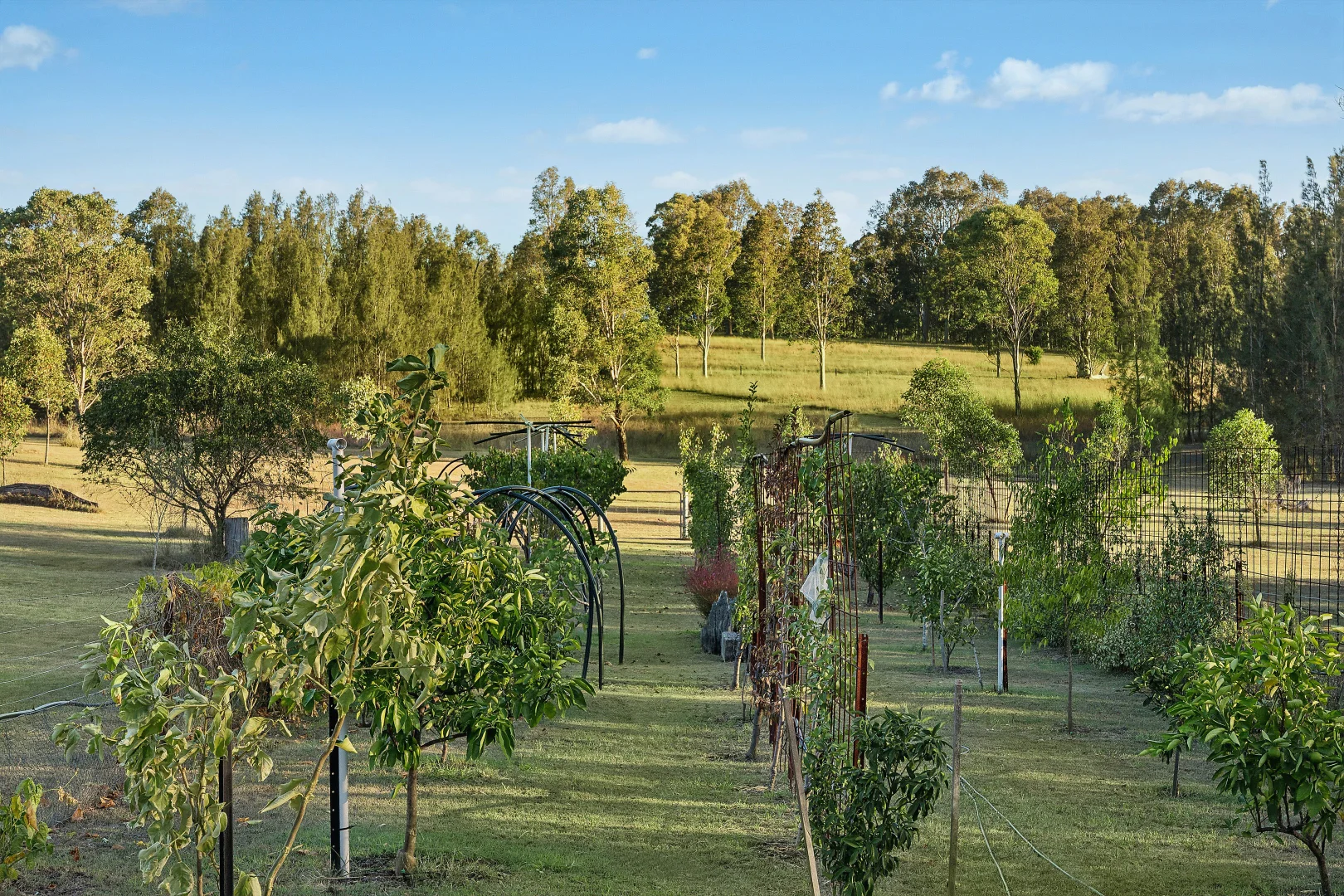 Additional image 8 of 701 Standen Drive, Lower Belford NSW 2335