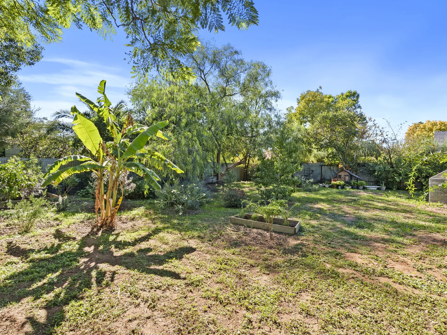 Additional image 17 of 66 Murray Street, Finley NSW 2713