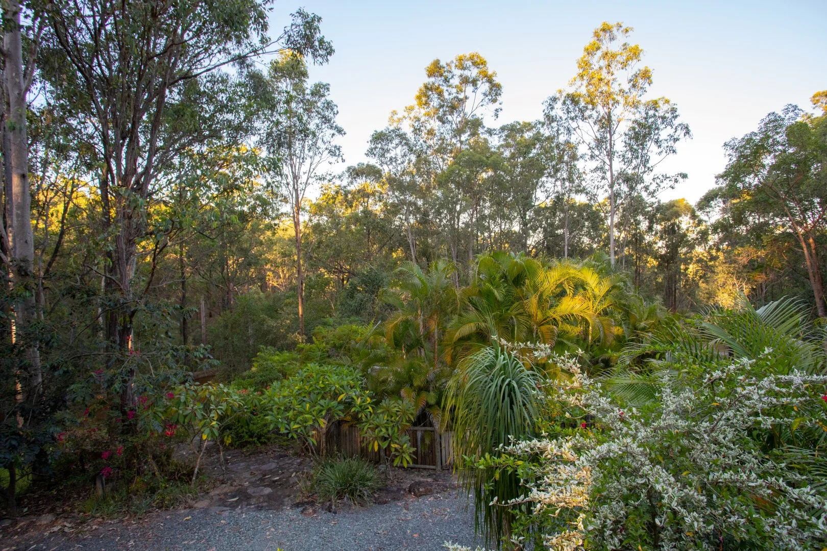 Additional image 30 of 39-41 Woodswallow Court, Greenbank QLD 4124