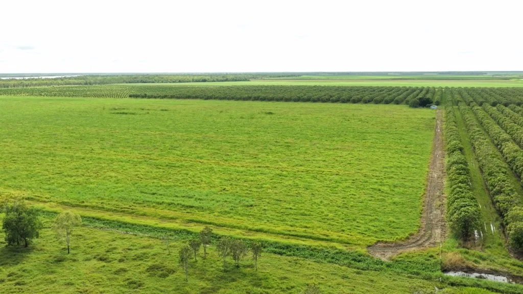 Additional image 24 of Giru QLD 4809