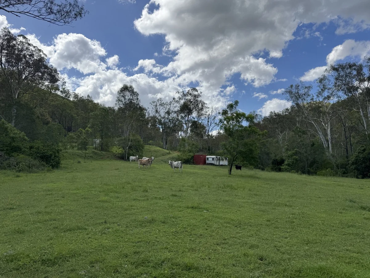 Additional image 14 of 2 Seal Road, Boyne Valley QLD 4680