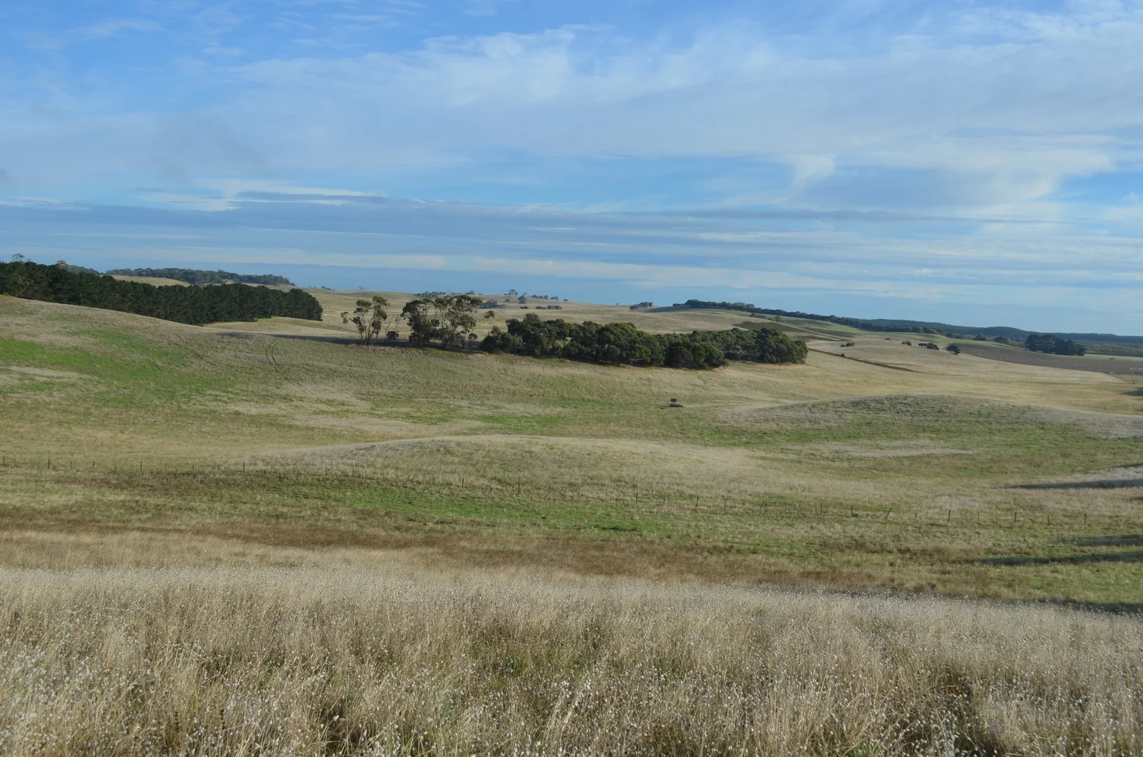 Additional image 14 of Southern Ports Highway, Mount Benson SA 5275