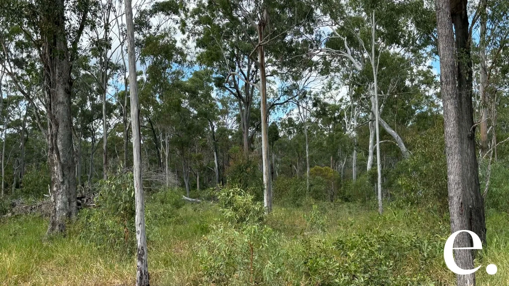 Additional image 5 of 42 Billabong Way, Bucca QLD 4670