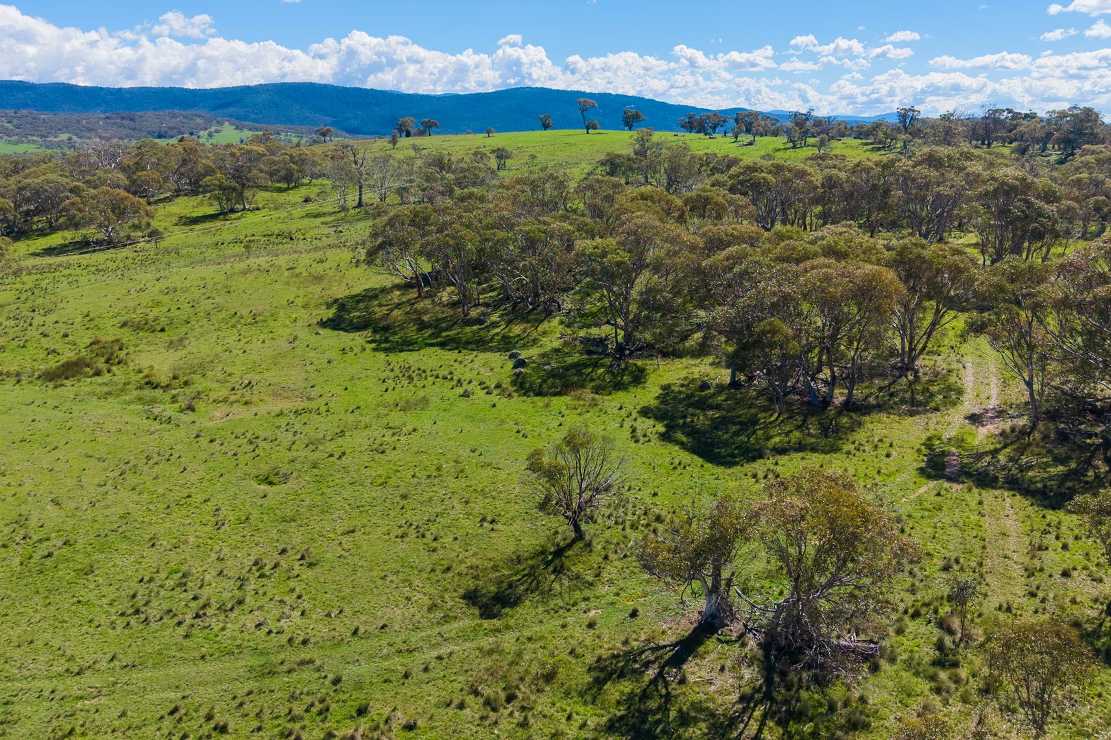 Additional image 6 of 9 Mountain View Road, Moonbah NSW 2627