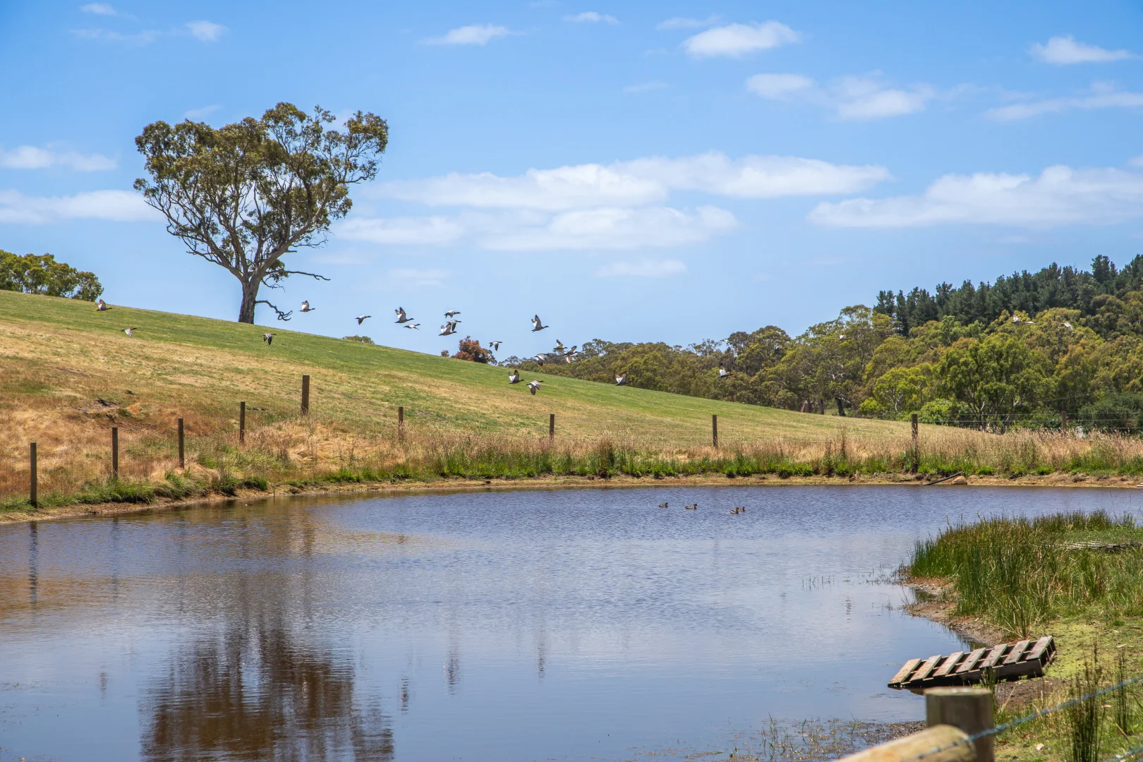 Additional image 28 of 764 (Sec 2986) Flaxley Road, Flaxley SA 5153