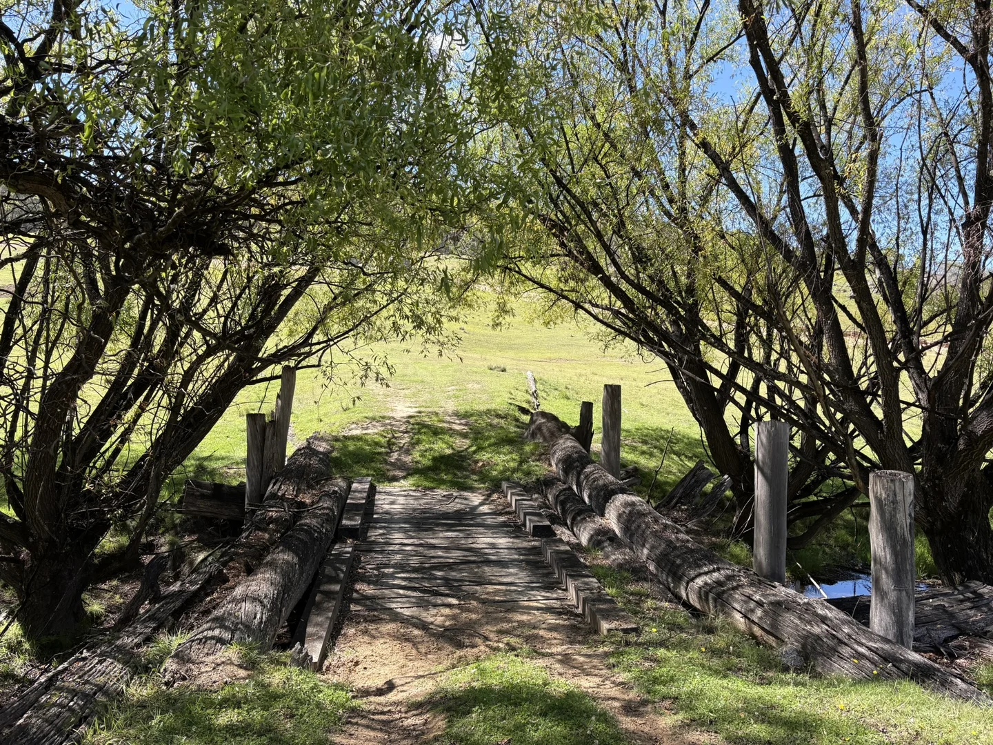 Additional image 5 of 29, 175 Tumbledown Road, Peak View NSW 2630