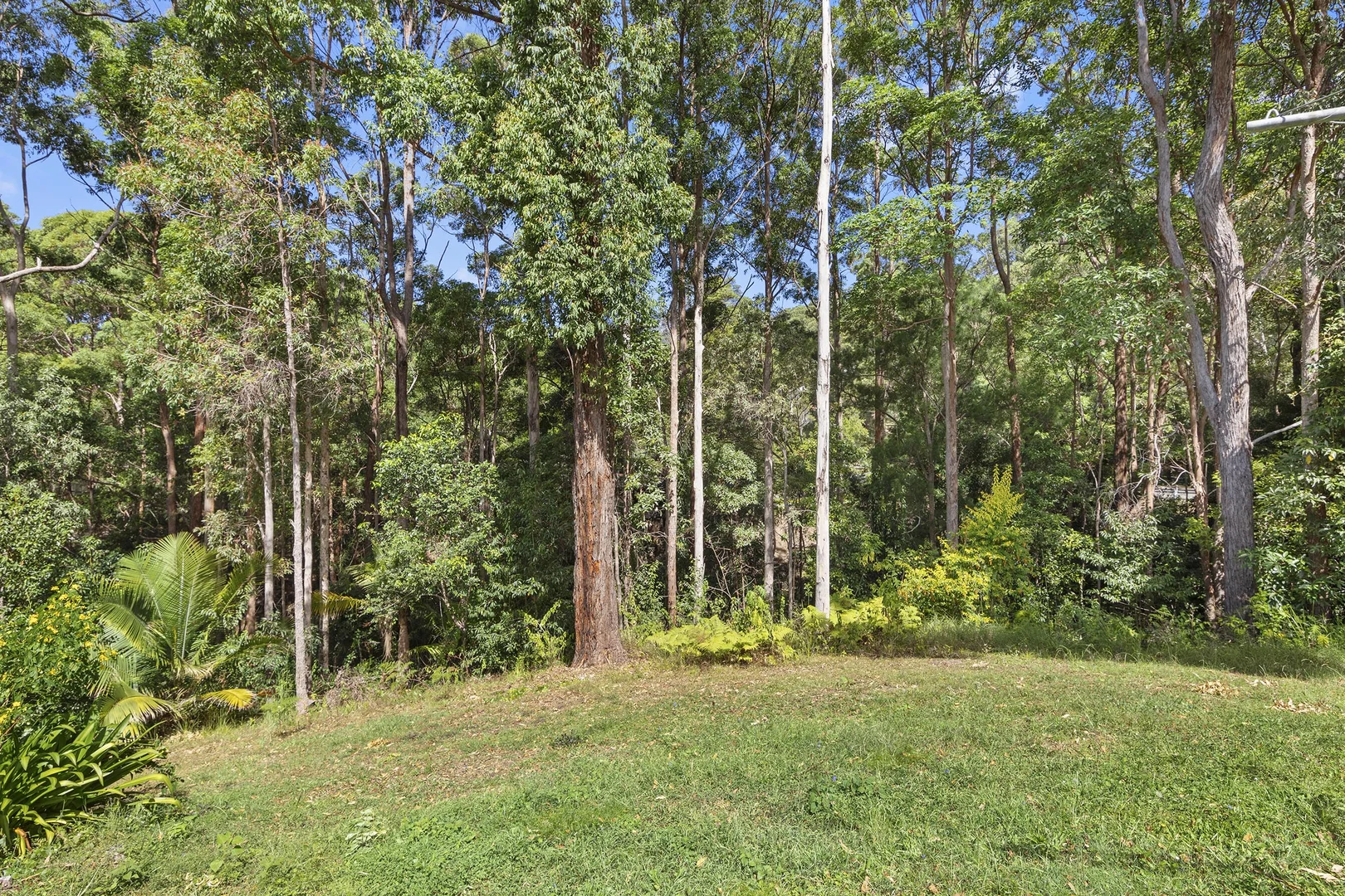 Additional image 12 of 13-15 Lombok Court, Tamborine Mountain QLD 4272