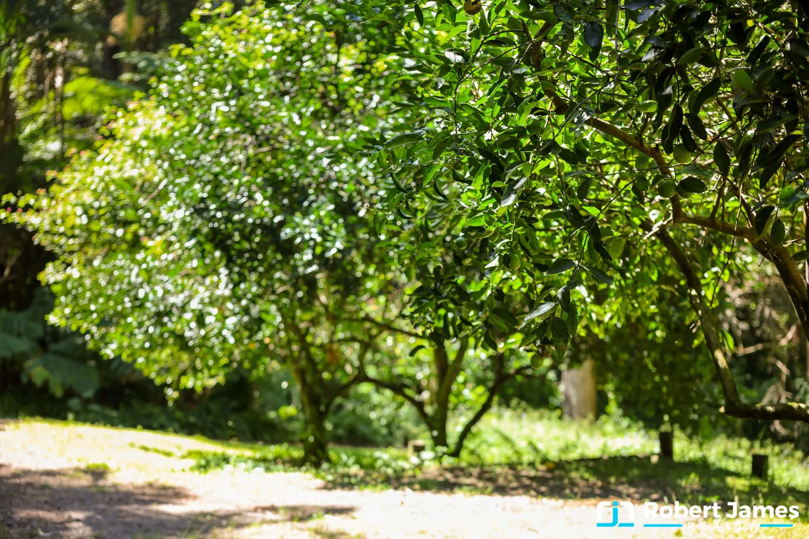 Additional image 14 of 44 Stewart Court, Doonan QLD 4562