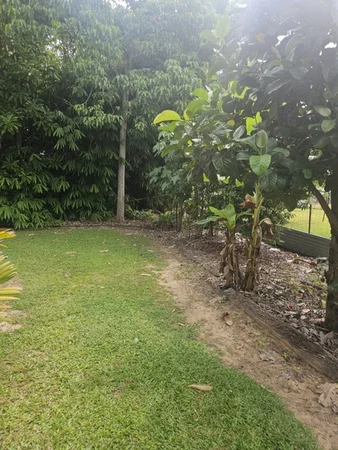 Additional image 3 of 23 Dutton Street, Ingham QLD 4850