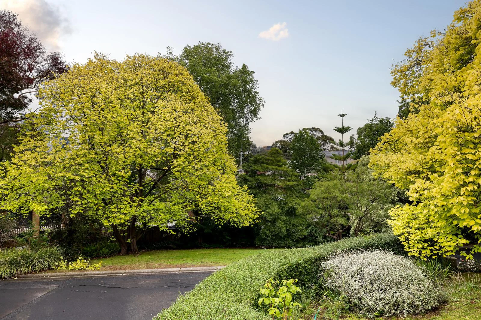 Additional image 13 of 15/86 Victoria Crescent, Mont Albert VIC 3127