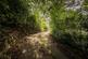 Additional image 3 of Anthonys Way, Gayton, Wirral