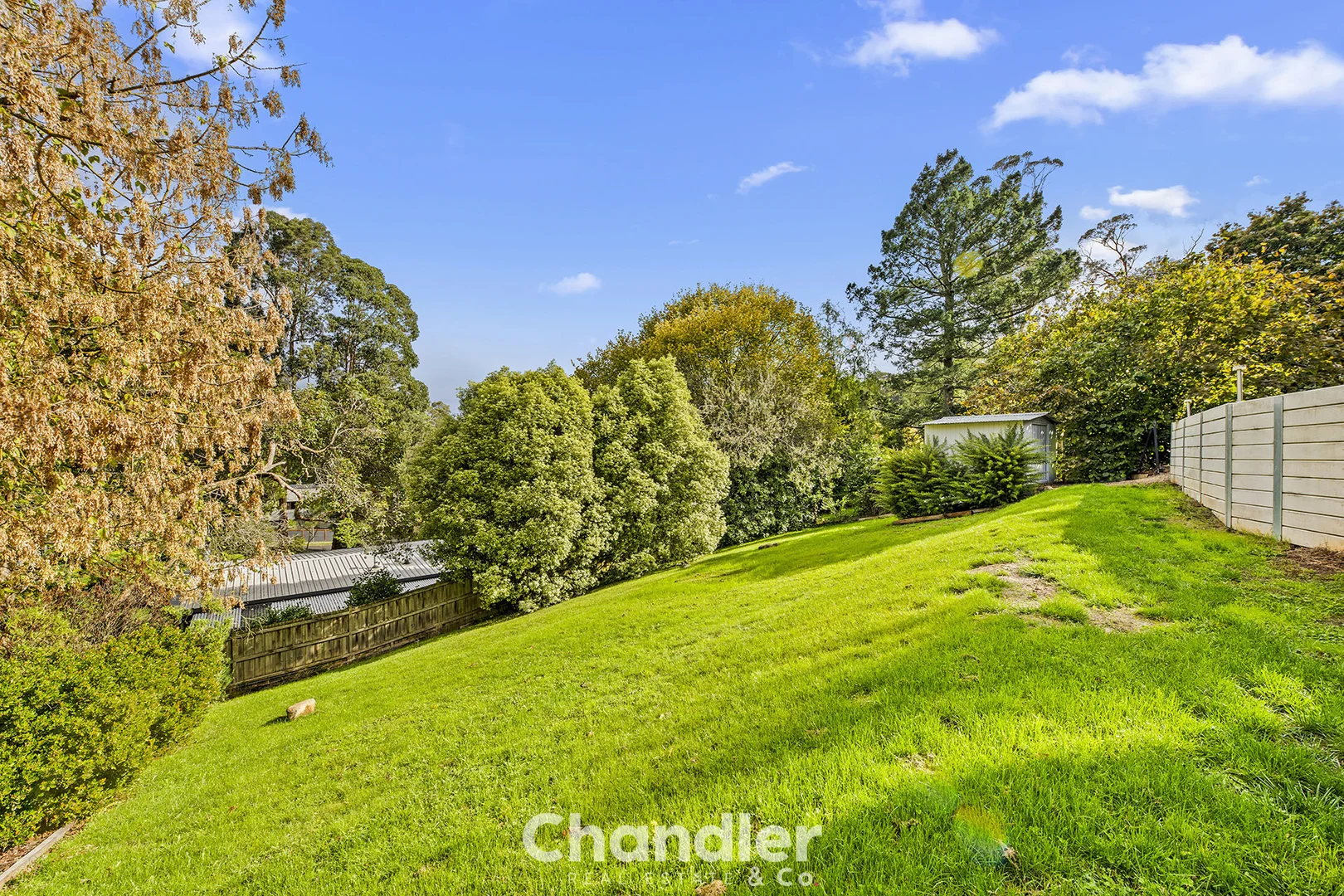Additional image 23 of 34 Blackwood Street, Tecoma VIC 3160