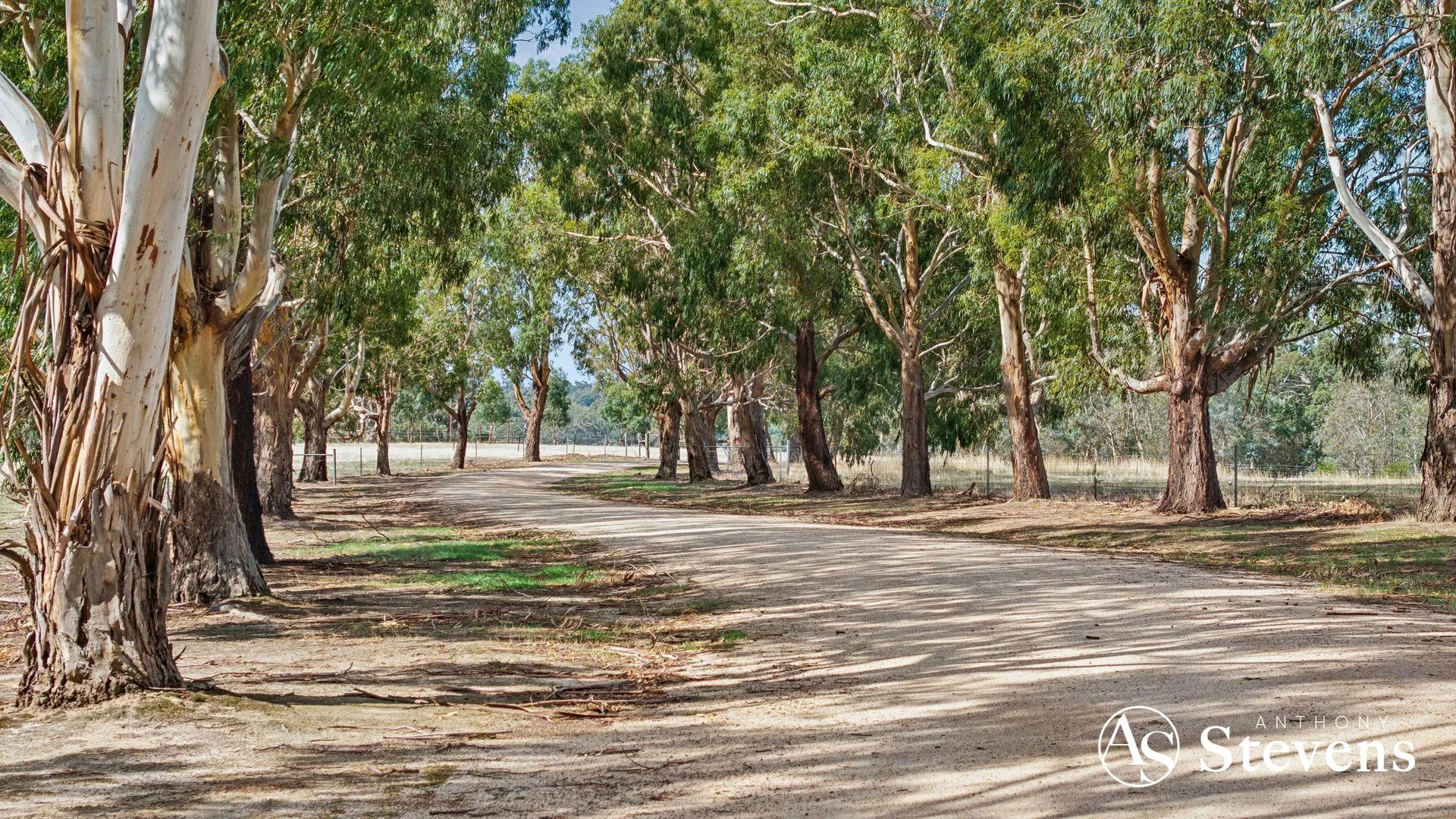 Additional image 46 of 866 Coliban Park Road, Redesdale VIC 3444