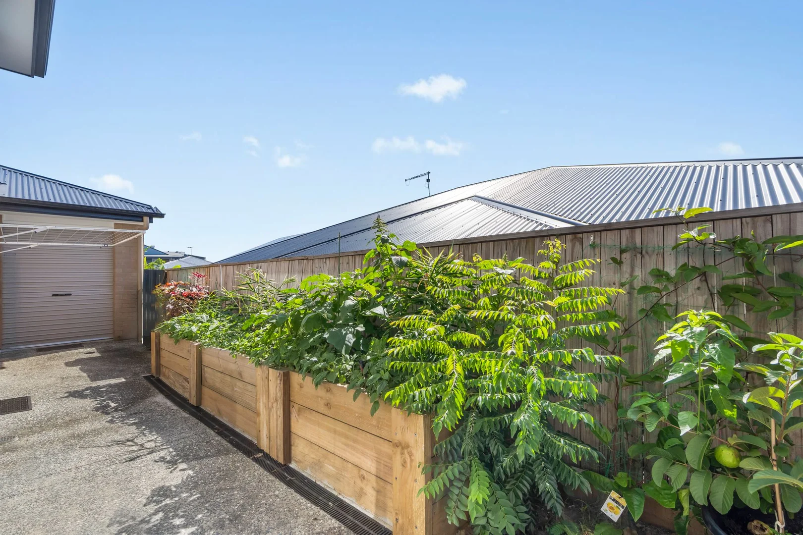 Additional image 18 of 30 Pitta Street, Maudsland QLD 4210